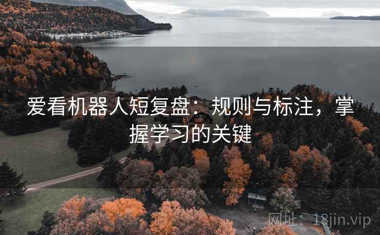 爱看机器人短复盘：规则与标注，掌握学习的关键