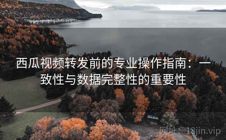西瓜视频转发前的专业操作指南：一致性与数据完整性的重要性
