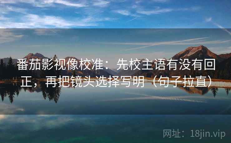 番茄影视像校准：先校主语有没有回正，再把镜头选择写明（句子拉直）