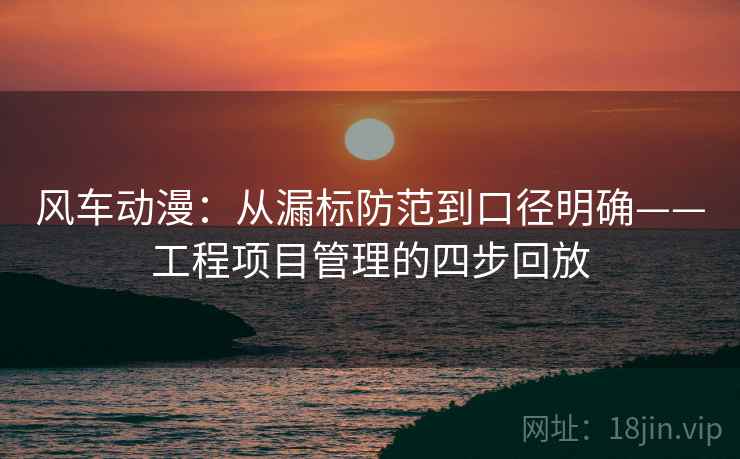 风车动漫：从漏标防范到口径明确——工程项目管理的四步回放